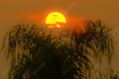 Paisagem 5 <em>(1095)</em>