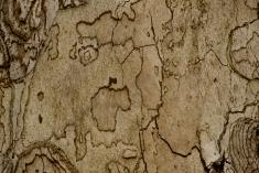 Abstrato 6 <em>(1388)</em>