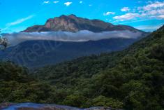 Paisagem 1 <em>(1529)</em>