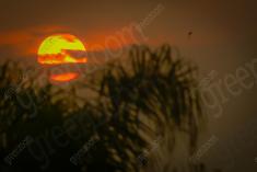 Por do Sol <em>(180)</em>