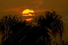 Paisagem 16 <em>(1983)</em>