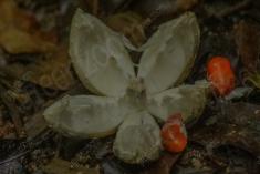 Abstrato 11 <em>(2048)</em>