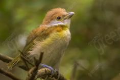 Ave 6 <em>(2102)</em>