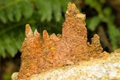 Abstrato 7 <em>(2293)</em>