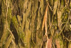 Abstrato 9 <em>(2388)</em>