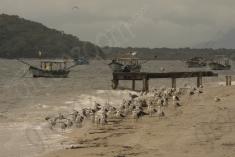 Paisagem 20 <em>(2495)</em>