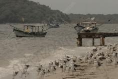 Paisagem 21 <em>(2496)</em>