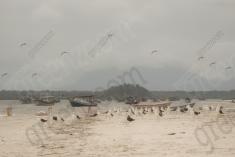 Paisagem 23 <em>(2498)</em>