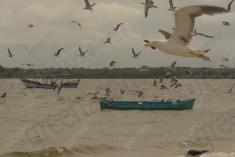 Paisagem 24 <em>(2499)</em>