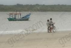 Paisagem 33 <em>(2528)</em>