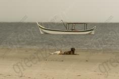 Paisagem 36 <em>(2531)</em>