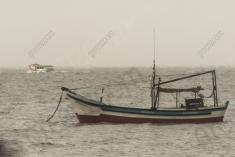 Paisagem 37 <em>(2532)</em>