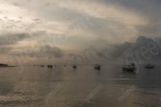 Paisagem 38 <em>(2533)</em>