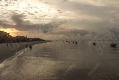 Paisagem 40 <em>(2535)</em>