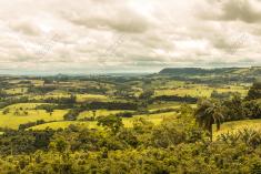 Paisagem 44 <em>(2548)</em>