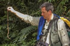 Cobra 13 <em>(2578)</em>