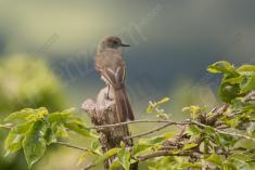 Ave 7 <em>(2587)</em>