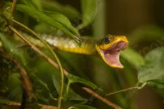 Cobra 23 <em>(2666)</em>