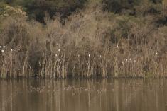 Paisagem 45 <em>(3027)</em>