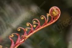 Flor 301 <em>(3083)</em>