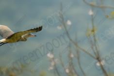 Maria Faceira 4 <em>(3112)</em>