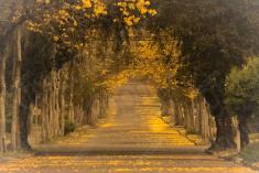 Paisagem 46 <em>(3117)</em>