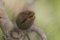 abstrato 15 <em>(3543)</em>