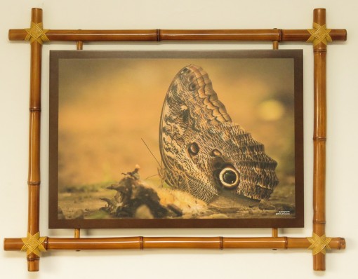 event featured image