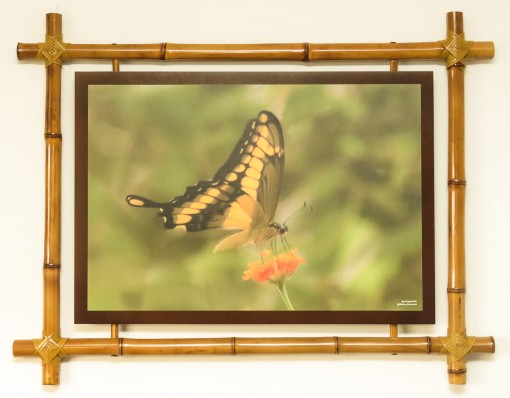 event featured image